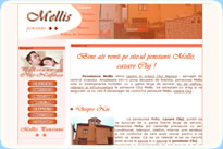  web design Cluj Napoca Pensiunea Mellis
